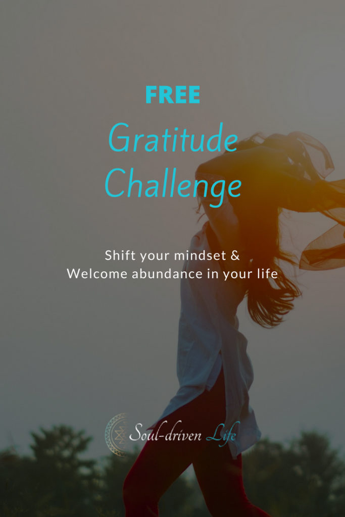 Embark on the Gratitude Challenge | Soul-Driven Life