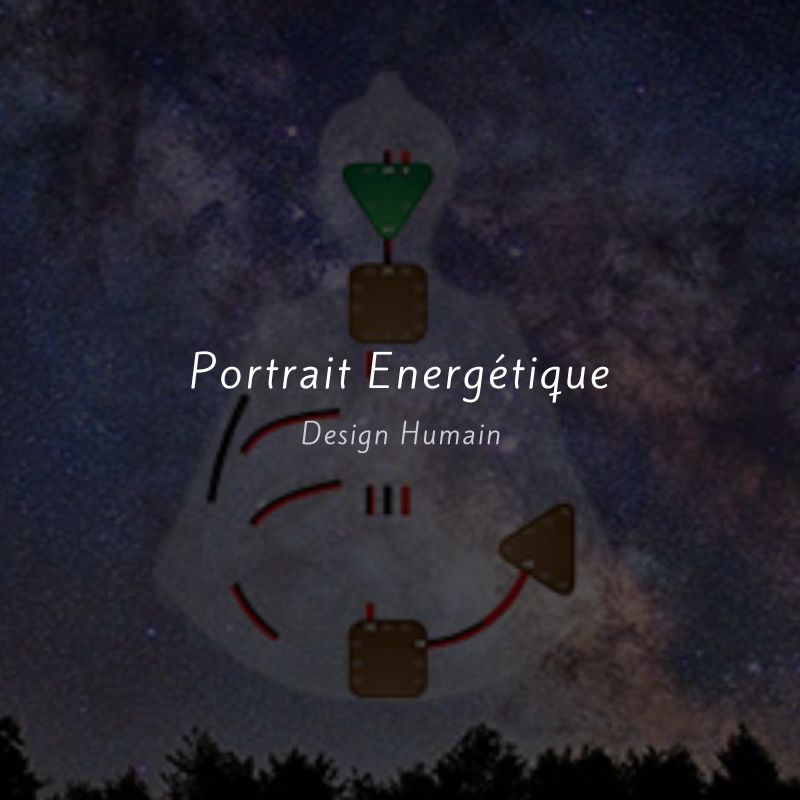 Portrait énergétique - Design Humain